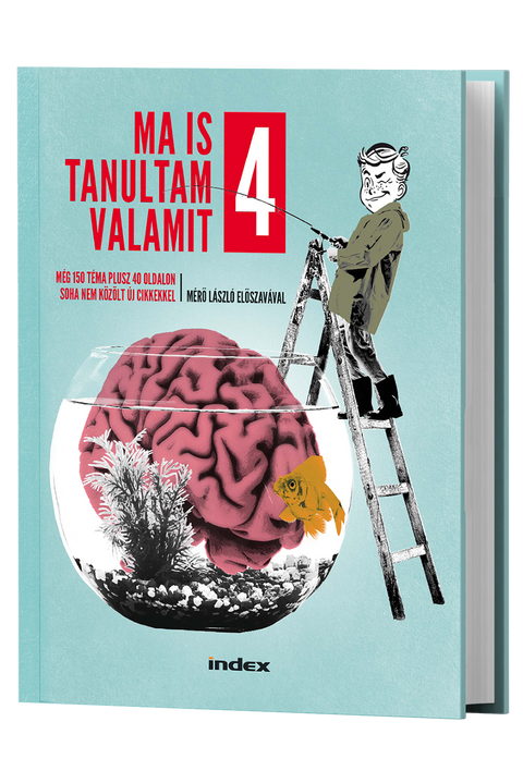 Ma is tanultam valamit 4.