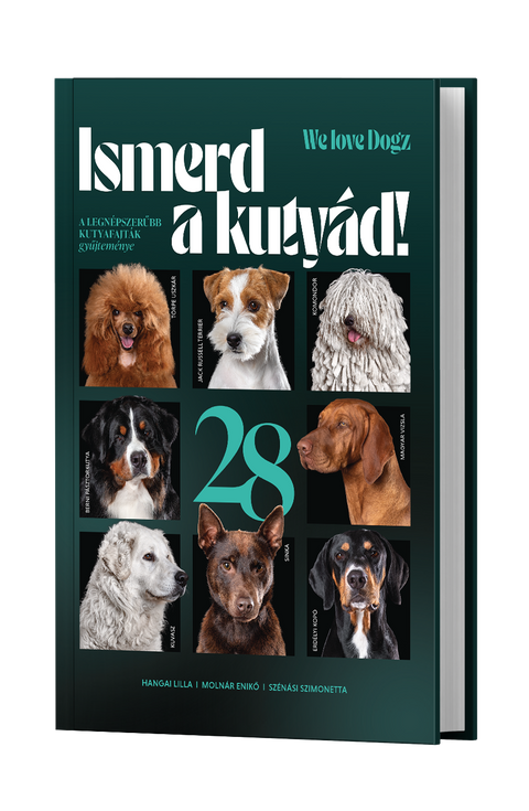 ELŐRENDELHETŐ! Ismerd a kutyád!