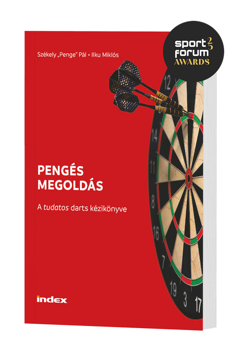 Pengés megoldás (dedikált)